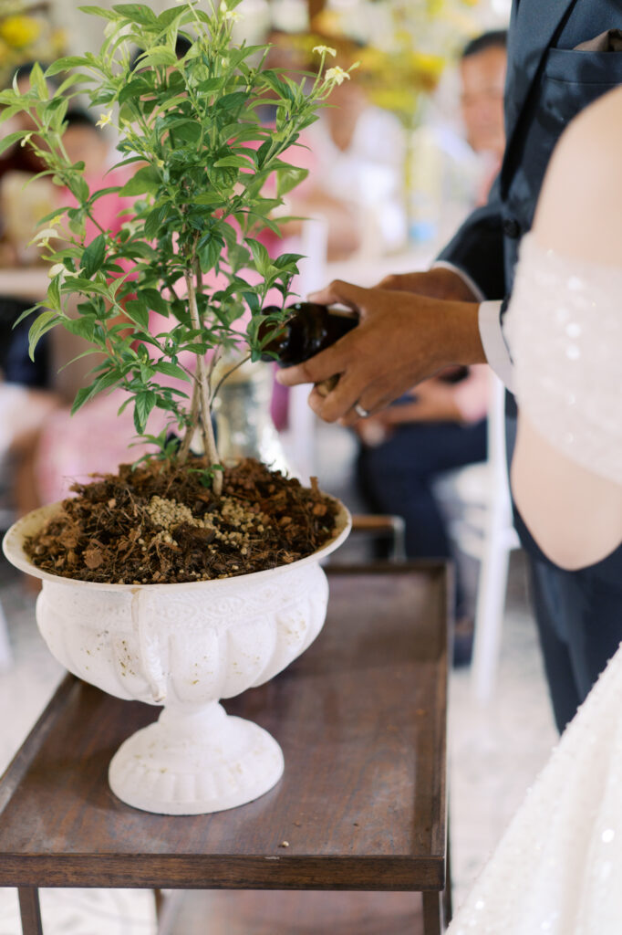 thai wedding photo at Maison de Mamie wedding venue, garden wedding, Thai wedding ceremony, Thailand wedding destination,
Thailand wedding venue, vintage wedding, thai-chinese wedding, wedding inter