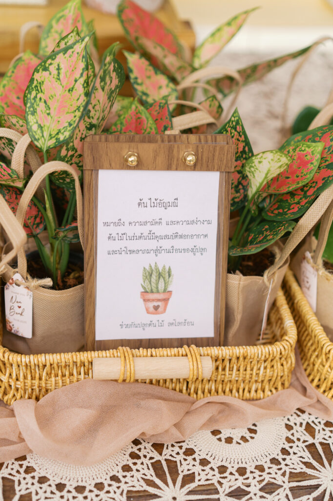 thai wedding photo at Maison de Mamie wedding venue, garden wedding, Thai wedding ceremony, Thailand wedding destination,
Thailand wedding venue, vintage wedding