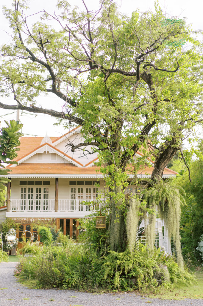 garden wedding, maison de mamie wedding venue, maison de mamie, vintage wedding, classic wedding, thaiwedding, thai wedding venue, สถานที่จัดงานแต่งงาน, สถานที่จัดงานใกล้กทม., weddinginter, thaiphotographer