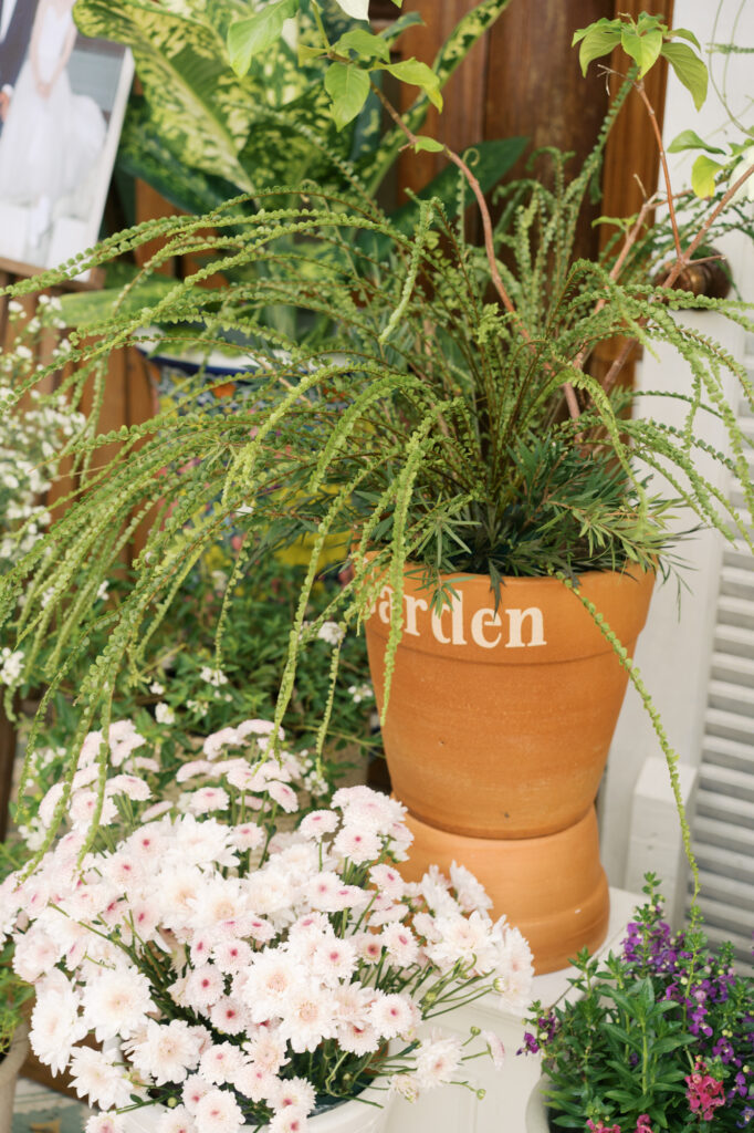 wedding venue, thai wedding venue, garden wedding, cottage garden, Chinese tea ceremony, maison de mamie wedding venue, เมซองเดอมามี, สถานที่จัดงานแต่งงาน, vintage and classic