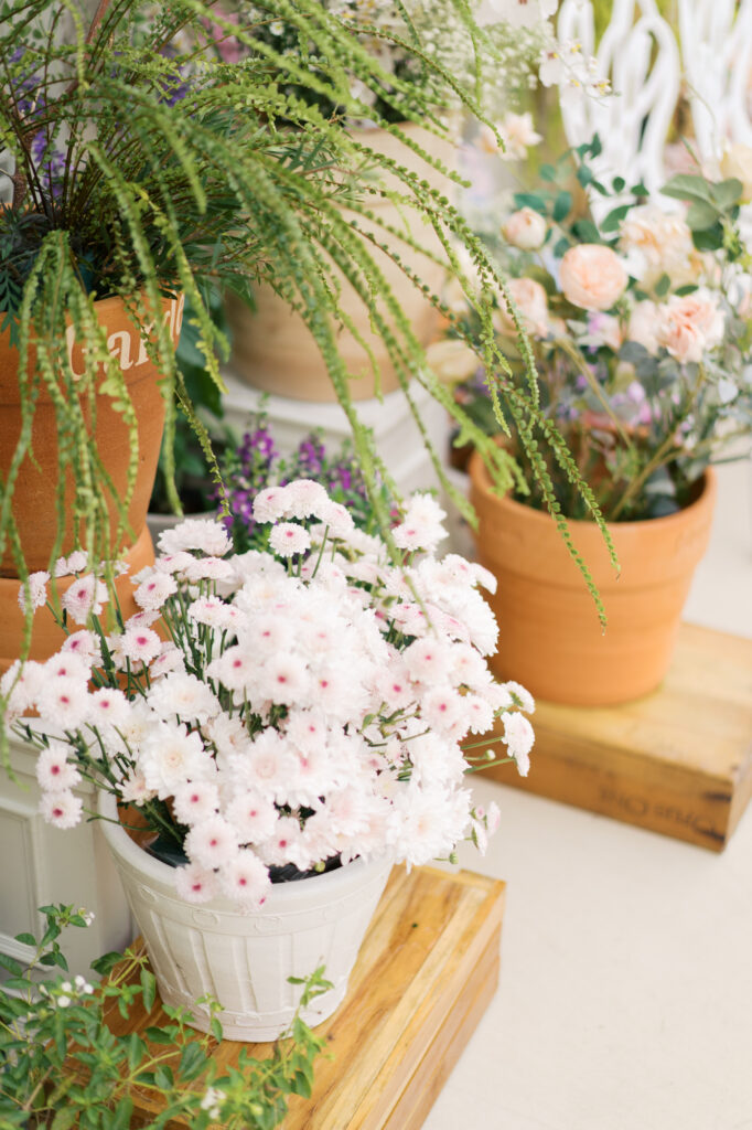 wedding venue, thai wedding venue, garden wedding, cottage garden, Chinese tea ceremony, maison de mamie wedding venue, เมซองเดอมามี, สถานที่จัดงานแต่งงาน, vintage and classic