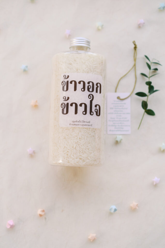 สถานที่จัดงานแต่งงานสมุทรปราการ, สถานที่จัดงานแต่งงาน, เมซองเดอมามี, maisondemamie, wedding venue, wedding photo, thai wedding, vintage wedding, classic wedding,ชุดไทยพาสรรธ์, ชุดไทยนุ่งสด